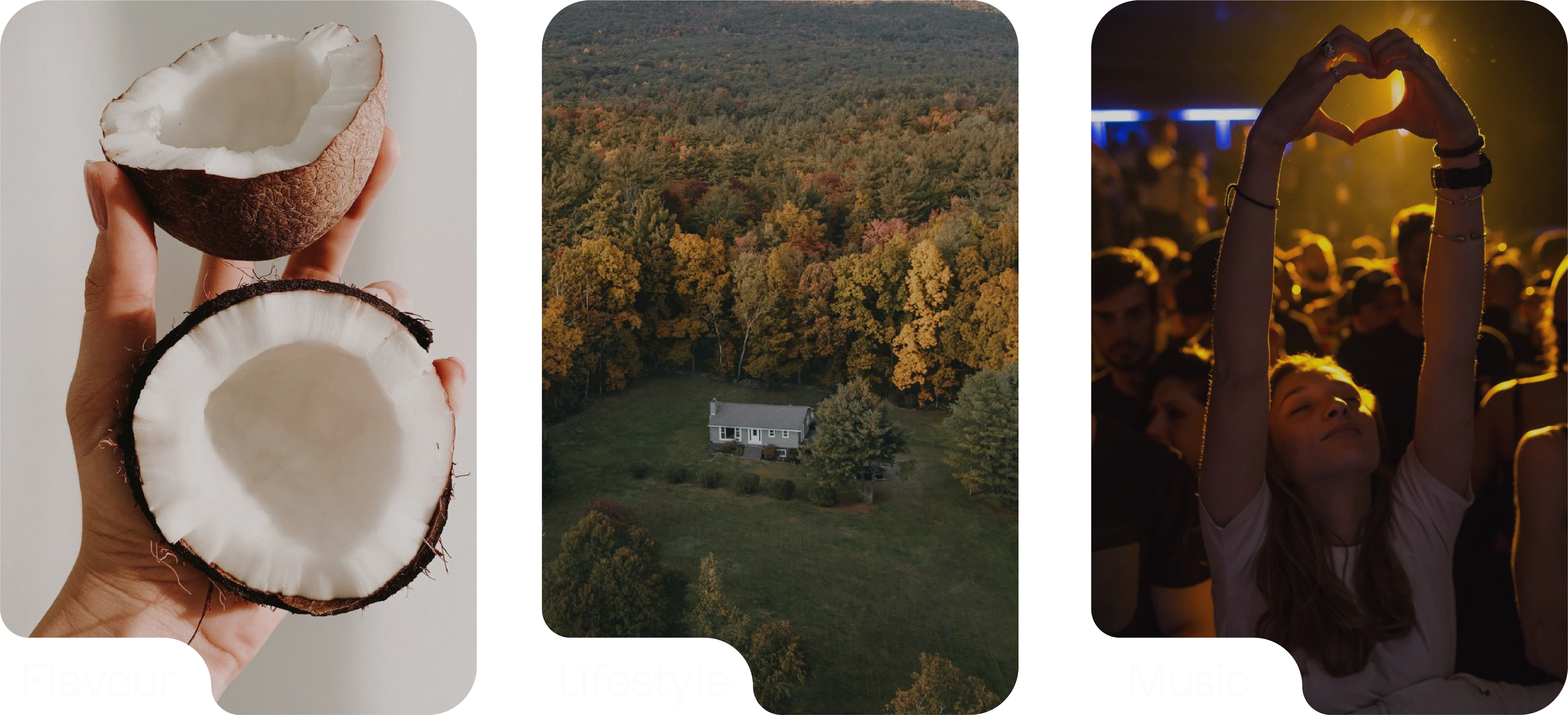 Flavour, Lifestyle, Music